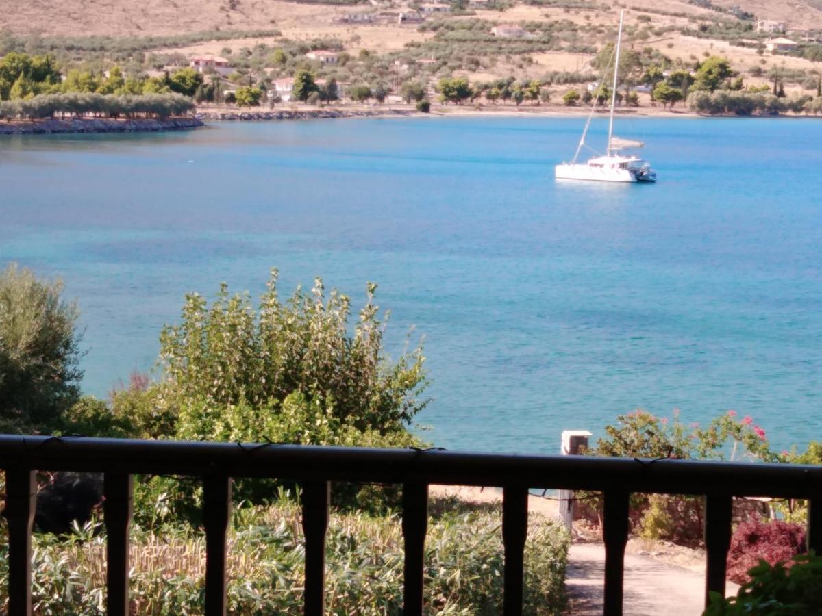 Aphrodite'S Coast Retreat House! Galaxídhion Esterno foto